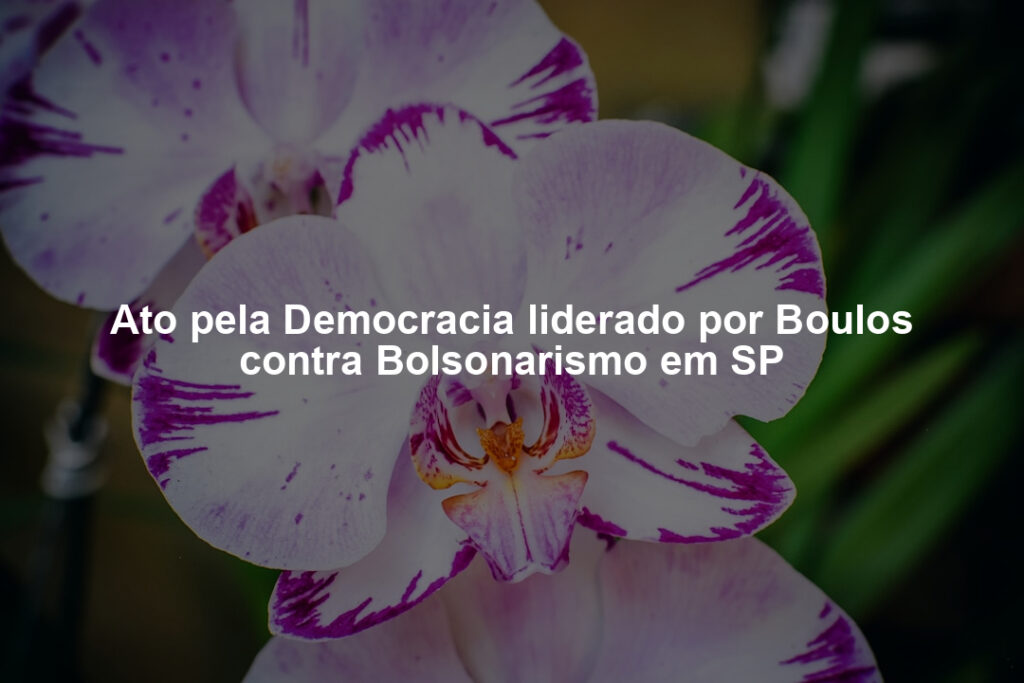 Ato pela Democracia liderado por Boulos contra Bolsonarismo em SP